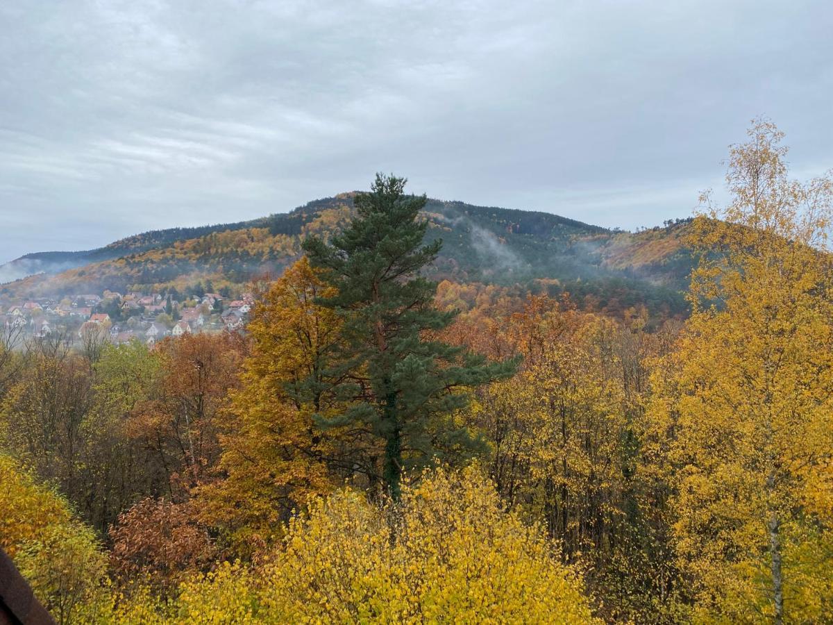 Gite Au Nid De L'Ecureuil Boersch Esterno foto