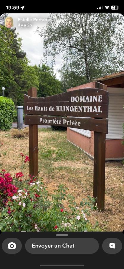 Gite Au Nid De L'Ecureuil Boersch Esterno foto